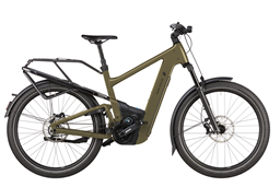 Zeige Details für Riese & Müller Delite 5 Pinion Bild von Riese & Müller Delite 5 Pinion