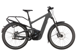 Zeige Details für Riese & Müller Delite 5 Pinion Bild von Riese & Müller Delite 5 Pinion