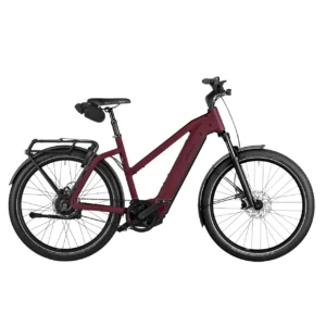 Riese & Müller Charger 4 GT Vario Core