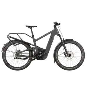 Riese & Müller Delite 5 Pinion